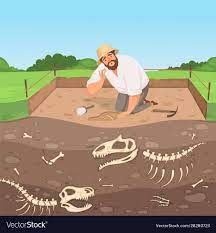 Archaeology Character Man Discovery Underground Geology Digging Dinosaur Bones In Soil Layers History Landscape Ve Dinosaur Bones Archaeology European History