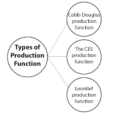 3 Types Of Production Functions Linear Function Algebra Equations Factors Of Production