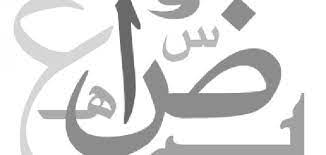 من اول من وضع النحو موضوع