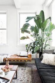 8 Changes To Make To Your Home Environment To Help You Feel Less Stressed Theeverygirl Plant Decor Indoor Big Plants Indoor Trees