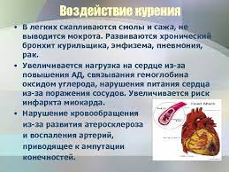Kurenie Tabak Istoriya I Fakty