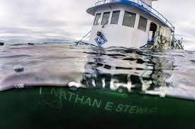 sinking tug boat off b.c.