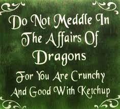 Do Not Meddle In The Affairs Of Dragons For You Are Crunchy And Good With Ketchup Words Funny Quotes Quotes