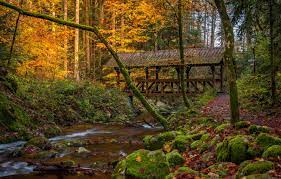 The place inspired countless fairy tales, including the likes of hansel and gretel, rapunzel and sleeping beauty. Wallpaper Autumn Forest Trees Bridge River Moss Germany Germany Baden Wurttemberg Baden Wurttemberg Black Forest The Black Forest Images For Desktop Section Pejzazhi Download