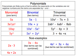 Polynomials Table College Math College Algebra Homeschool Math