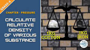 How To Calculate The Density And Relative Density Of Various Substance Class 8 Relative Density Class 8 Chemistry Practical
