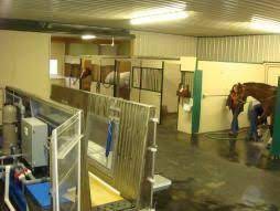 Midwest Equine Rehabilitation Center Rehabilitation Center Stables Interior