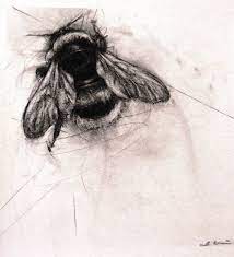 Discover thousands of free bumblebee tattoos & designs. Bumble Bee April Coppini Bee Tattoo Bumble Bee Tattoo Bee