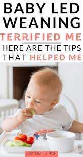 Baby Led Weaning Terrified Me Here Are The Tips That Helped Just Simply Mom In 2020 Baby Led Weaning Baby Weaning Baby Led Weaning Recipes