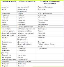 Kakie Cvety Posadit Na Dache Vesnoj Posev Cvetov V Grunt Dachasadovnika