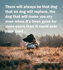 Pin By Terry French On Koirat Dog Quotes Dog Best Friend Quotes Dog Poems