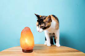 Salt absorbs these folk legends. Important Facts About Salt Lamps And Cats