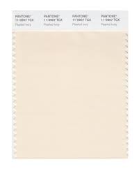 Ivory Pantone Google Search Pantone Swatches Pantone Color Swatch