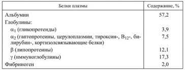 Obshij Belok V Krovi Norma V Analize Pochemu On Povyshen Ili Ponizhen Vasha Onlajn Bolnica