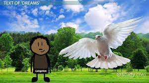 Dreams By Langston Hughes Summary Analysis Video Lesson Transcript Study Com