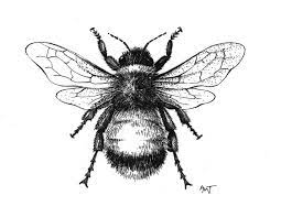 Today i'm doing a tiny realistic bumblebee tattoo. Queen For A Summer The Outside Story Bee Tattoo Bee Drawing Bumblebee Drawing