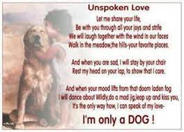 A Dogs Love Poem Foster Animals Dog Love Citrus County