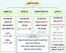 بالصور قواعد اللغة العربية للمبتدئين تعليم قواعد اللغة العربية شرح مختصر في قواعد اللغة العربية صقور الإبدآع