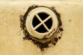have mold growing in your sink drain