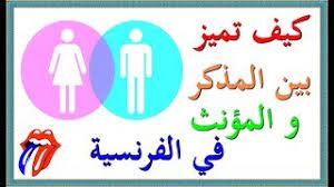 تعلم اللغة الفرنسية كيف تميز بين الإسم المذكر و المؤنث في اللغة الفرنسية بشكل دقيق Youtube