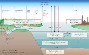 co reservoir  world ocean review