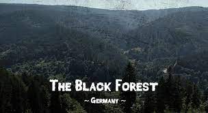 The place inspired countless fairy tales, including the likes of hansel and gretel, rapunzel and sleeping beauty. 5 Of The World S Most Haunted Forests That Will Give You Goosebumps