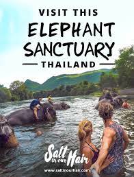 Thailand Travel Guides Tips Salt In Our Hair Blog Thailand Travel Tips Elephant Sanctuary Thailand Thailand Vacation