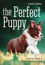 Will recommended we get the perfect puppy and canine boot camp courses before we picked up the pup to study them. The Perfect Puppy Bailey Gwen 9781770859111 Amazon Com Books