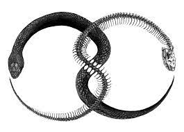 Ouroboros Tattoo A Circular Symbol Depicting A Snake Or Less Commonly A Dragon Swallowing Its Tail As An Emb Ouroboros Tattoo Skeleton Tattoos Snake Tattoo