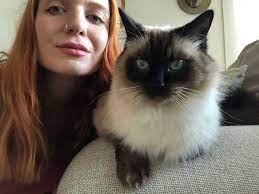 Ranks number 1 out of 50 states nationwide for the possibility of a lower cost of living may be the best factor to use when considering location and salary for a cat sitter role. I Ve Stayed In The Us For Free By House And Cat Sitting Here S How