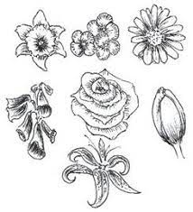 How To Draw Flowers Drawing Tutorials Drawing How To Draw Flowers Blossoms Petals Drawing Lessons Step By Step Techniques For Cartoons Illustrations Define the neck, handle and bottom of the jug.