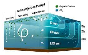 ocean 'pumps' impact climate change