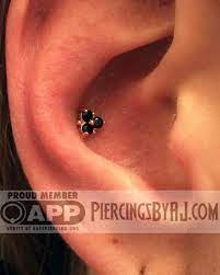 Fresh 14g Conch Piercing With 14k Rose Gold Trinity And Genuine Black Spinel Gems From Scylla Fine Jewelry Conch Piercing Conch Piercing Jewelry Conch Jewelry