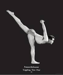 Asanas 608 Yoga Poses Dharma Mittra Google Books Hatha Yoga Class Yoga Poses Yoga Body