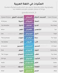 المثنيات في اللغة العربية Arabs
