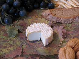 Picodon Food French Cheese Cheese Store