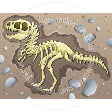 Images Of T Rex Skeleton Cartoon Google Search Dinosaur Illustration Skeleton Illustration Dinosaur