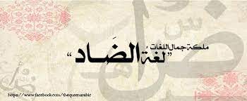 ملكة جمال اللغات اللغة العربية About Facebook