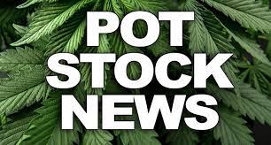 Robinhood users should be aware of the platform's imposition of limits on buying gme shares that has not gone unnoticed. Sundial Growers Inc Sndl Announces Departure Of Ceo And Other Leadership Changes Potstocks Com