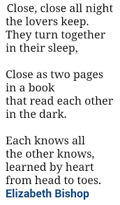 Close Close Elizabeth Bishop Poem Elizabeth Bishop Poems Bishop
