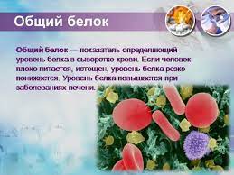 Obshij Belok Norma U Zhenshin Po Vozrastu Tablica