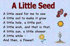 Themed Poems Ks1 Seeds And Plants Preschool Poems Kids Poems Preschool Songs