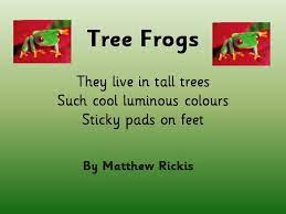 Gallery For Haiku Poems About Nature 5 7 5 Syllables Haiku Poems Haiku Poems Examples Haiku Examples