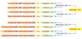 كيفية التميز بين المؤنث والمذكر في اللغة الفرنسية