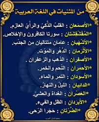 عبدالله بن عبدالعزيز السويلم On Twitter من المثنيات في اللغة العربية