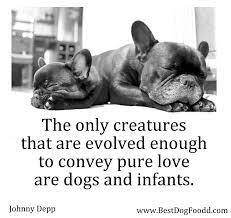 The Only Creatures That Are Evolved Enough To Convey Pure Love Are Dogs And Infants 4 Dog Picture Quotes Http Www Bestdogfo Dog Quotes Dog Poems Dog Love
