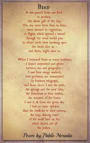 Pin On Love Sonnets Of Pablo Neruda