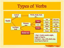 ما هو الفرق الفعل الرئيسي الأفعال المساعدة الأفعال الشاذة 3rabon