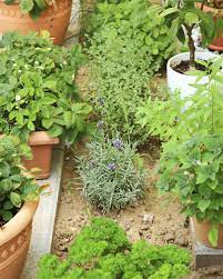 Designing a medicinal herb garden that is also beautiful and vibrant isn't exactly easy. Herb Garden Design Different Types Of Herb Gardens
