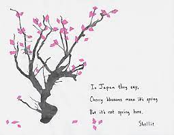 Haiku About Cherry Blossoms And Spring Blossom Quotes Japanese Haiku Cherry Blossom Painting